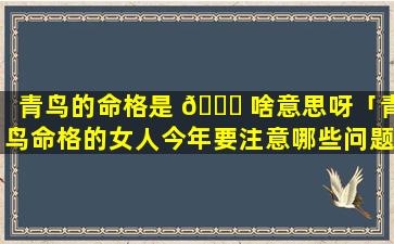 青鸟的命格是 🐋 啥意思呀「青鸟命格的女人今年要注意哪些问题」